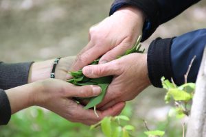 Imigrasi Pesisir Barat: Kisah Sukses dan Inspiratif